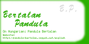 bertalan pandula business card